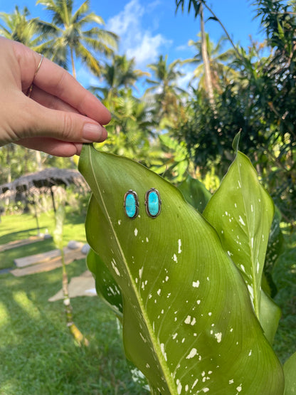 Vintage Native American Alvinia Zuni Turquoise Studs 1970s