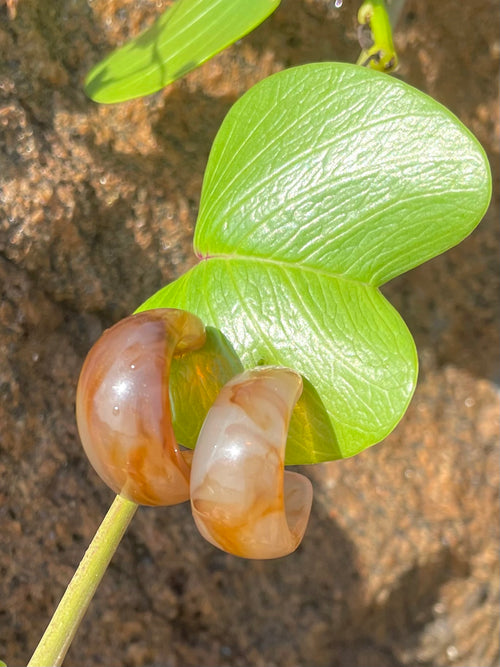 Bobo Eco-Resin Chestnut Mini- Hoops