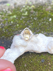 A close up of Citrine and silver ring made by local artisans on a sunny day sitting on a piece of coral
