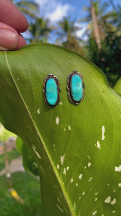 Vintage Native American Alvinia Zuni Turquoise Studs 1970s